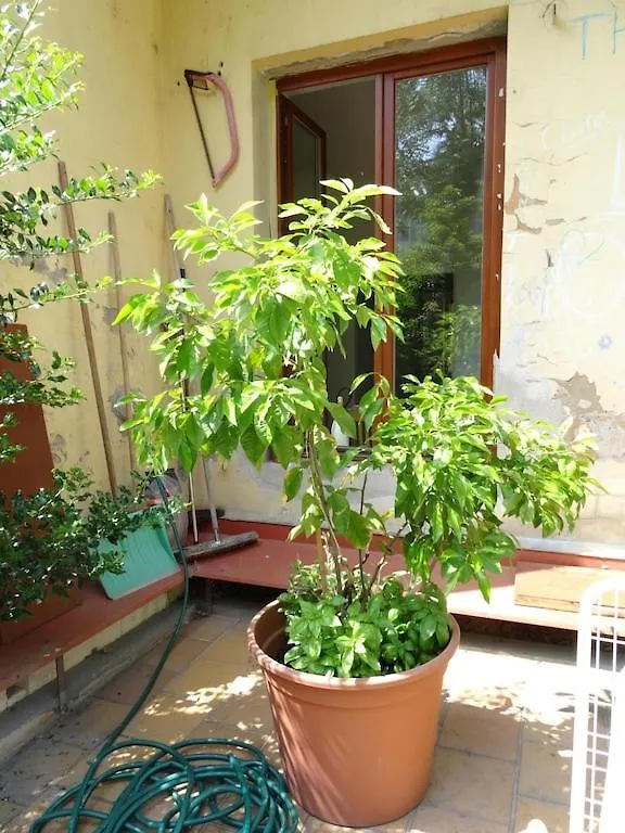 Garden Apartment On Art Nouveau Street In Central Prag